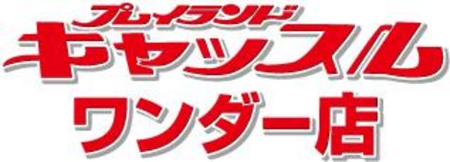 プレイランドキャッスルワンダー店